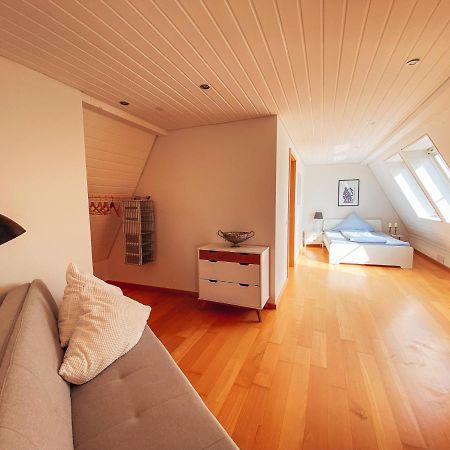 Rheinloft 3 - Grosse Giebelwohnung Mit Dachterrassen An Der Rheinpromenade إميريش المظهر الخارجي الصورة