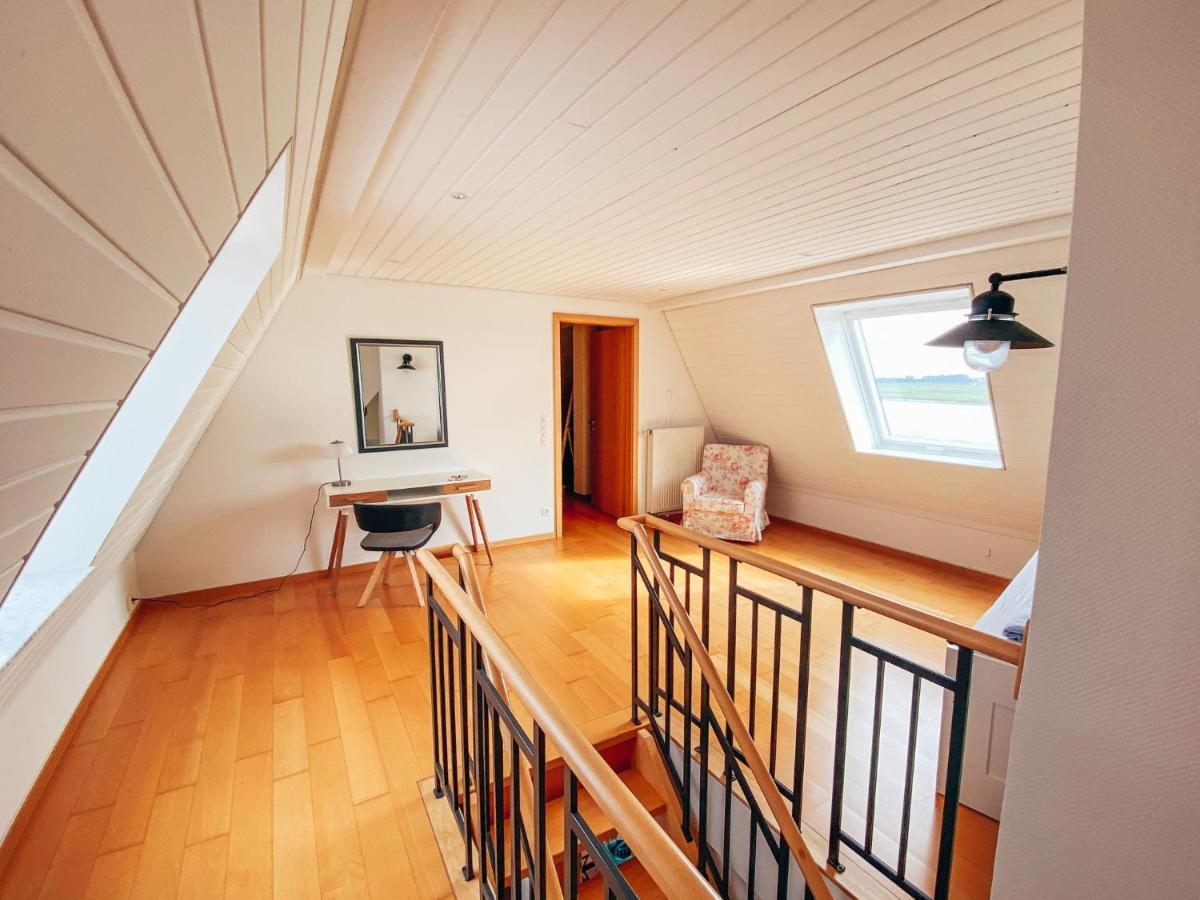 Rheinloft 3 - Grosse Giebelwohnung Mit Dachterrassen An Der Rheinpromenade إميريش المظهر الخارجي الصورة